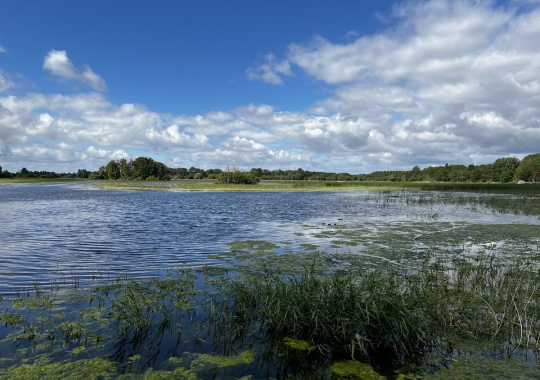 Etang d'assay-zone naturelle préservée et protégée, Touraine, Centre Val de Loire