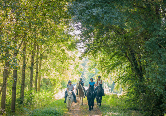 touraine-cheval_jean-christophe-coutand