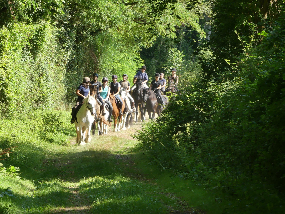 Touraine Cheval Balade Crédit Jessica Londe