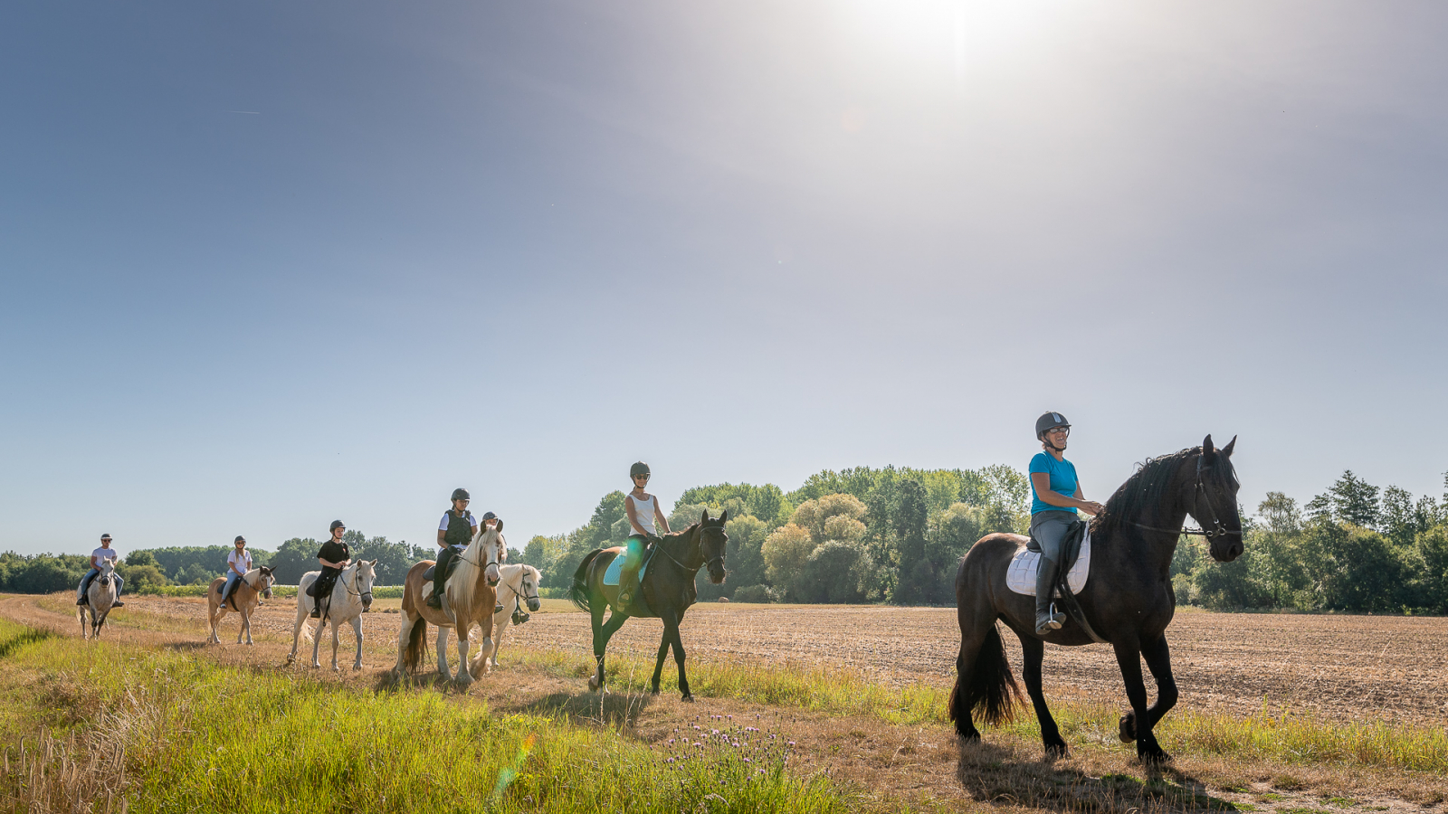 Touraine-Cheval_Credit_ADT_Touraine_JC_Coutand_2030-20