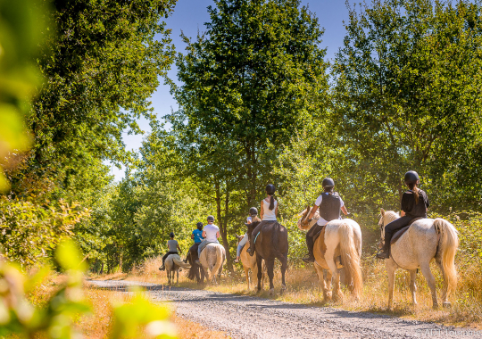 Touraine-Cheval_Credit_ADT_Touraine_JC_Coutand_2030-51