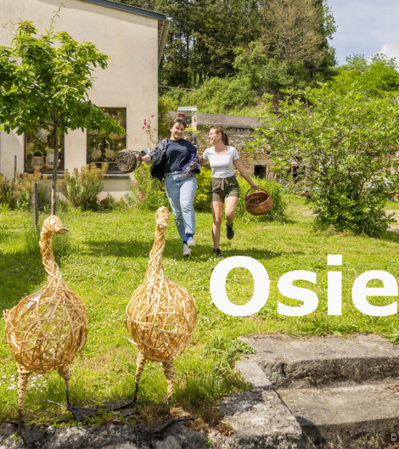 Osiez