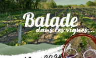 Balade dans les vignes Domaine d'Etilly Panzoult 18 mai 2024