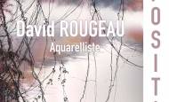 Affiche exposition David ROUGEAU