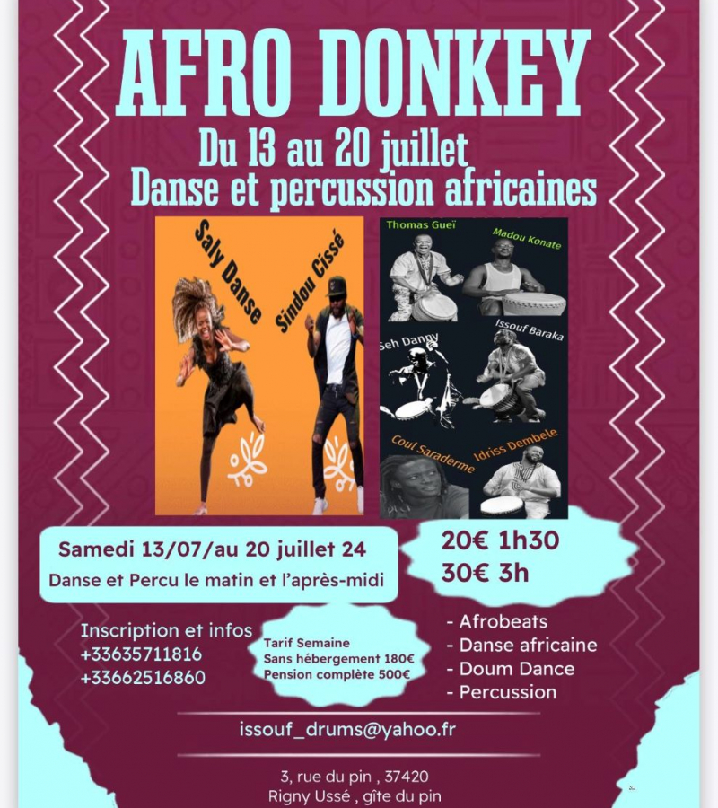 Affiche Afro Donkey