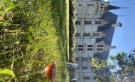 Azay-le-Rideau - Histoire de Terroir ©Armonie Berthelot (2)