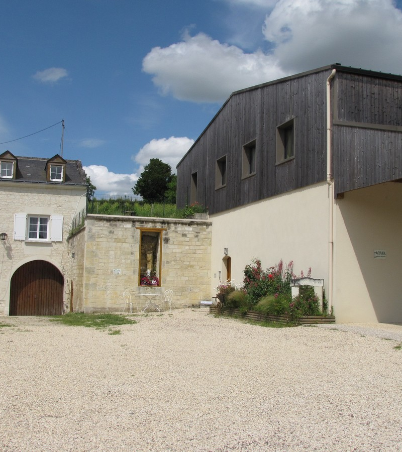 Chinon- Domaine des Beguinnerie