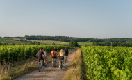 CLAN_Chinon_velos_canoes_Credit-ADT-Touraine-JC-Coutand-2034-8