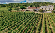 PANZOULT-Domaine Grosbois - maison-vinepicure